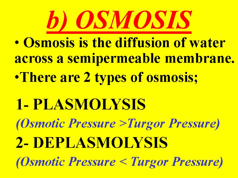 b) OSMOSIS  Osmosis is the diffusion of water across a semipermeable membrane. There